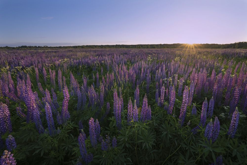 Фотография автора Галина