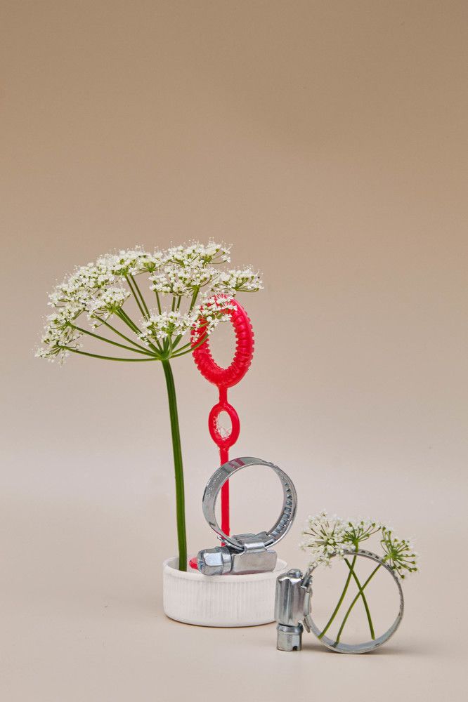 Однажды летним днем