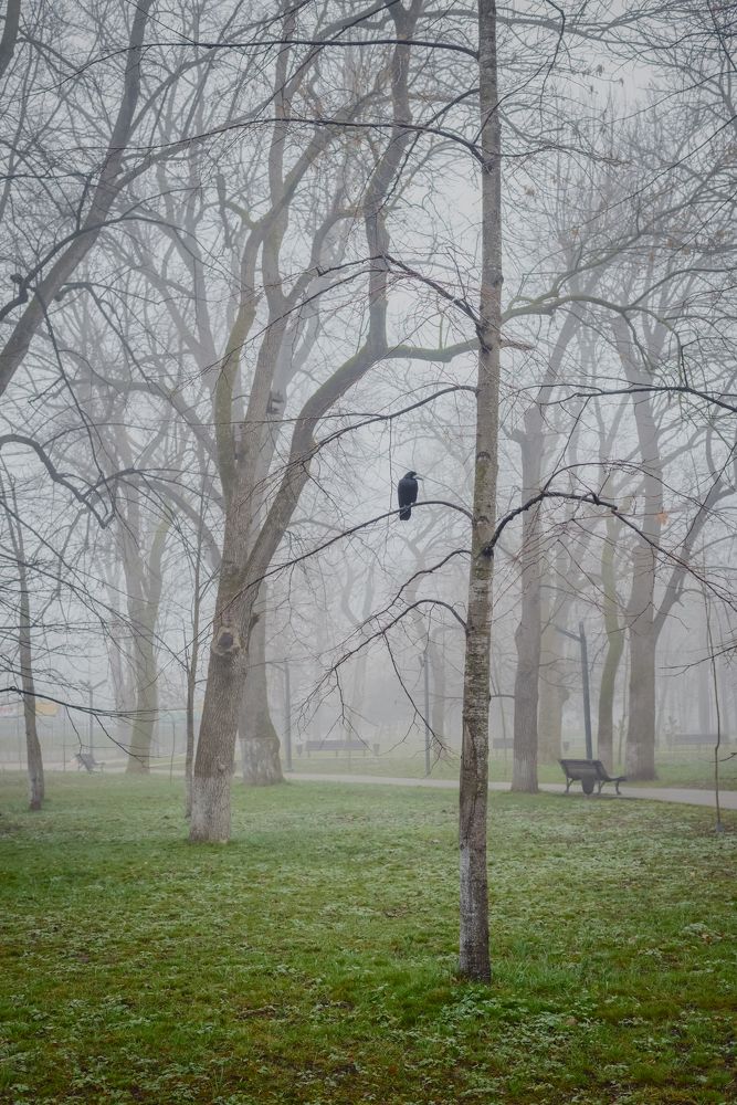 Photograph by Фадеева Марина