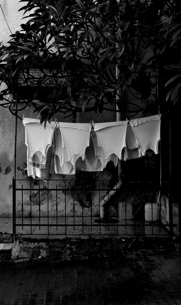 Photograph by Александр Кучерявый