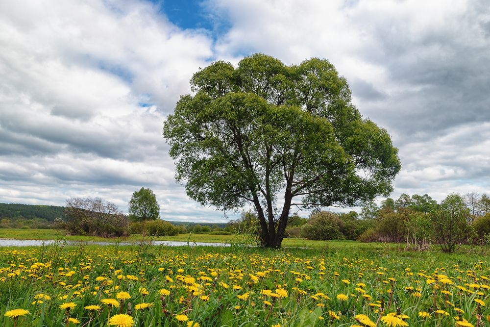 Photograph by Олег Каленин