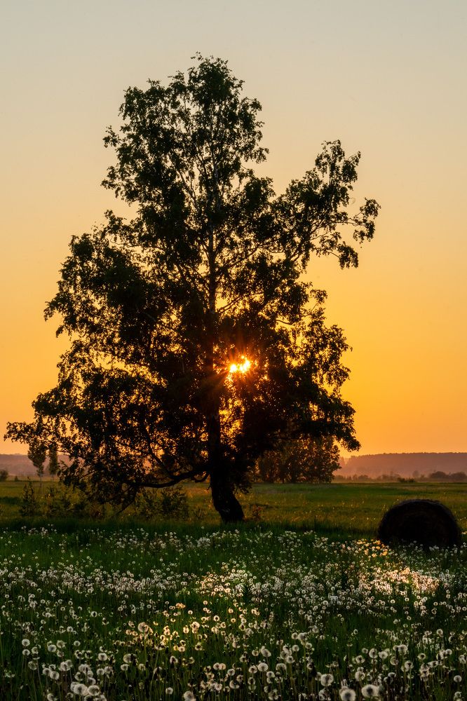Photograph by Екатерина Дубровская