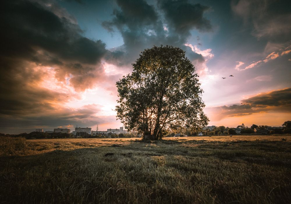 Photograph by Vitaliy