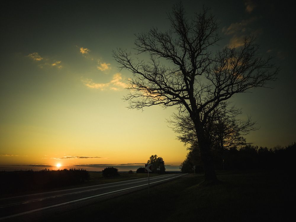 Photograph by Vitaliy