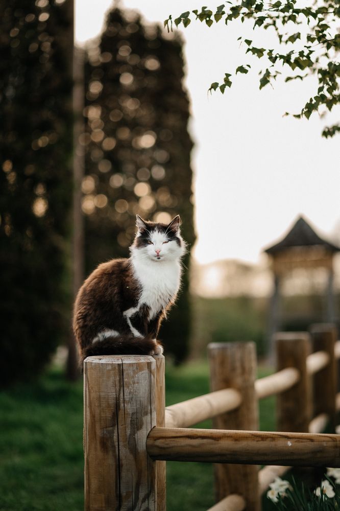 Photograph by Наталья Пагоцкая