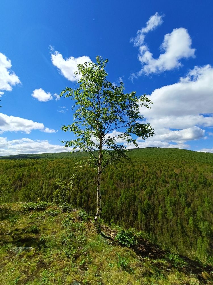 Photograph by Сергей Вершинин