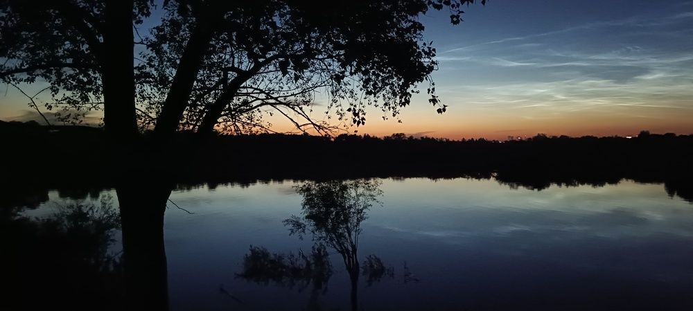 Photograph by Mishel Photographer