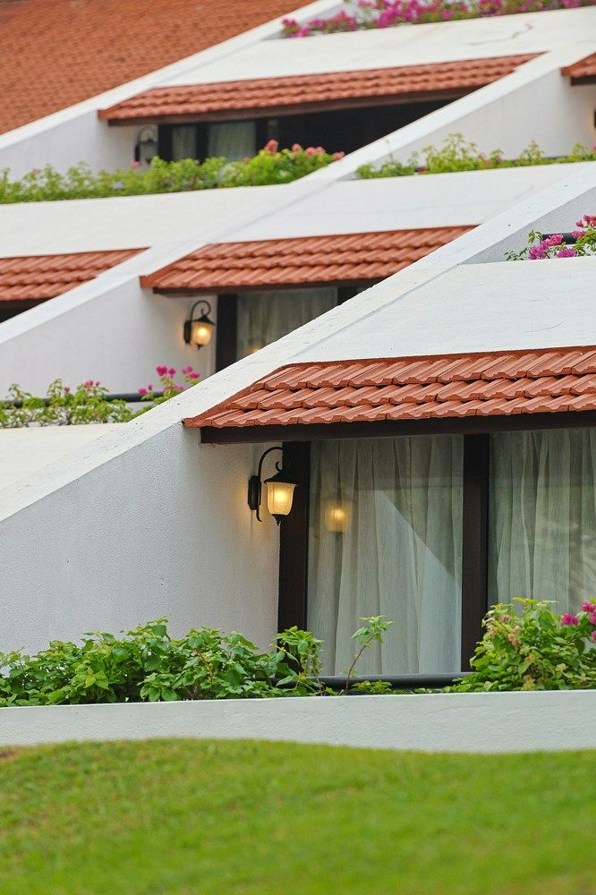 Photograph by hozaifa