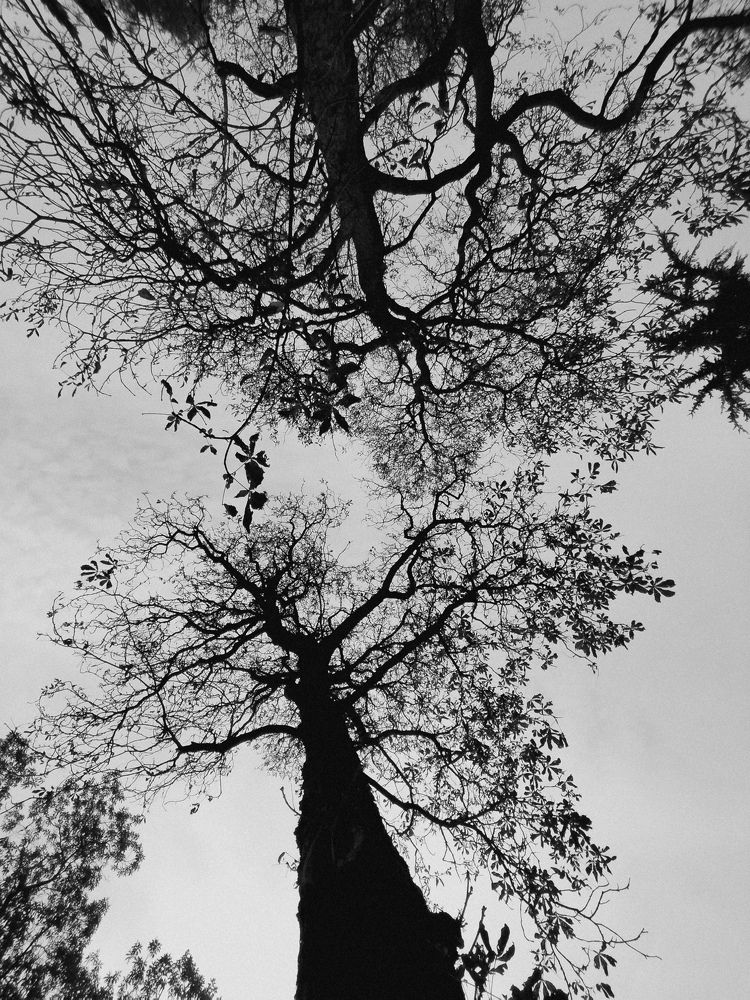 Photograph by Марина Данилова