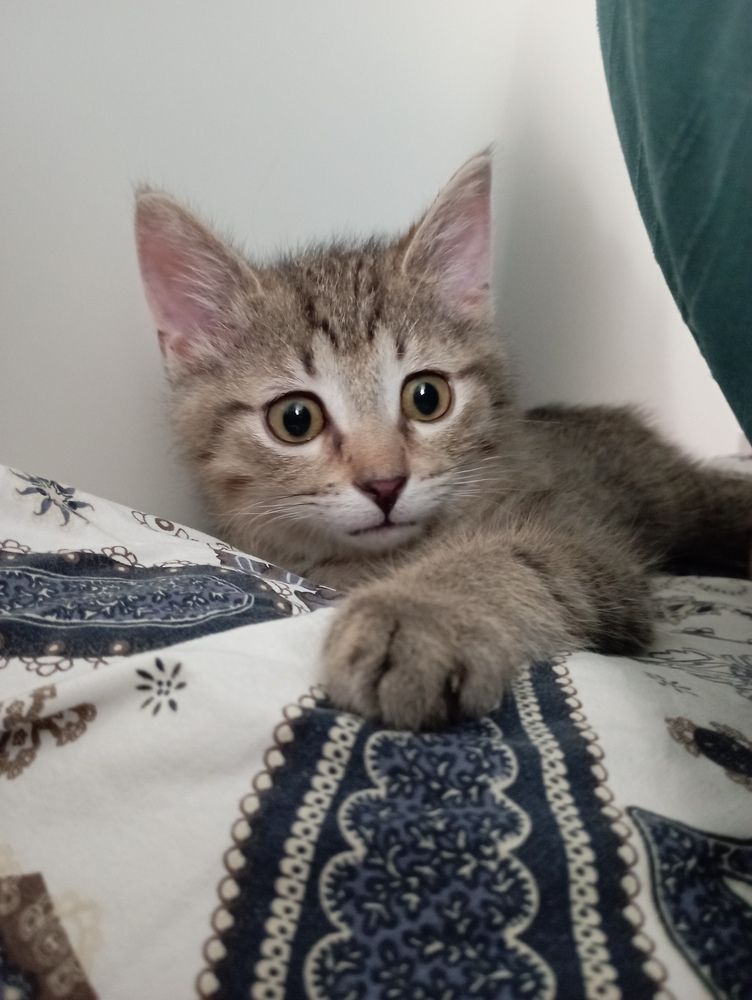 Фотография автора Natalia Khodina