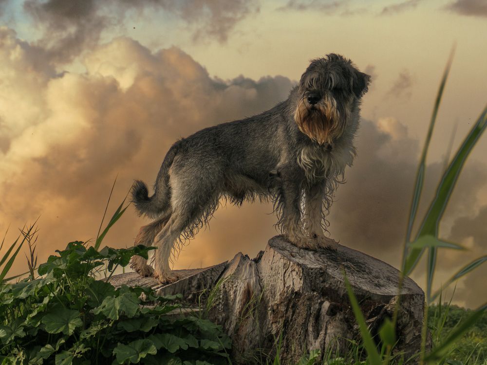 Photograph by lev senter