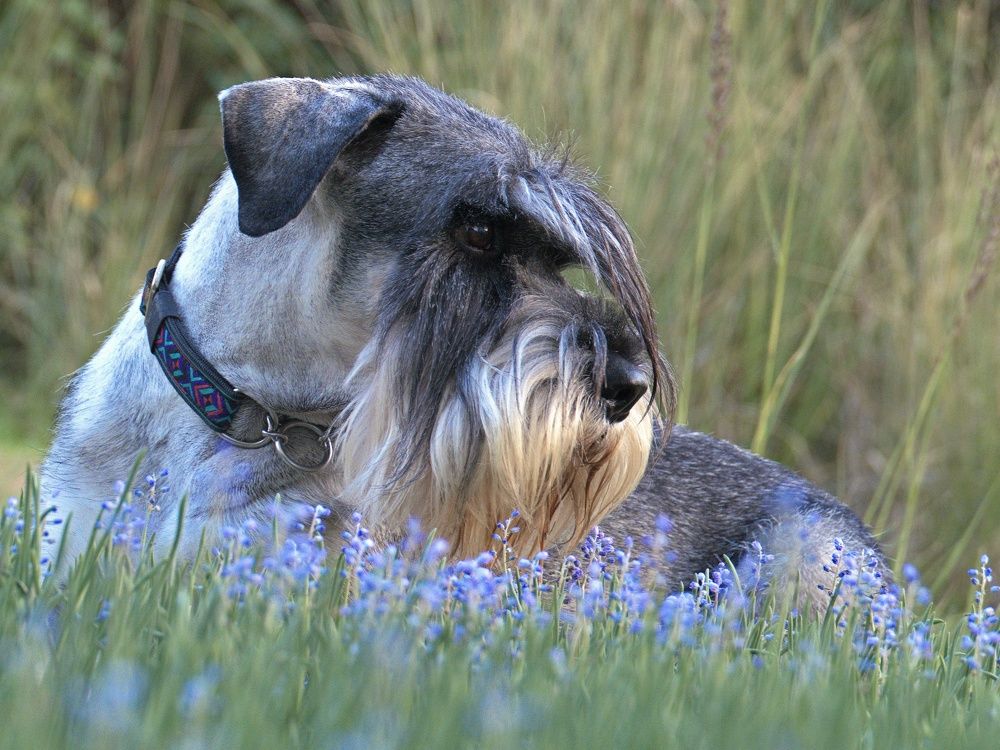 Photograph by lev senter