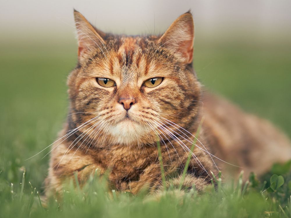 Photograph by Mikhail Khmelevskiy