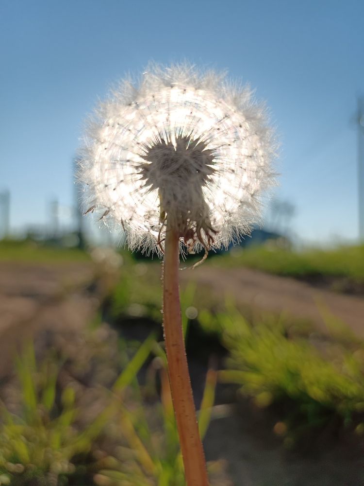 Photograph by Екатерина Одинцова