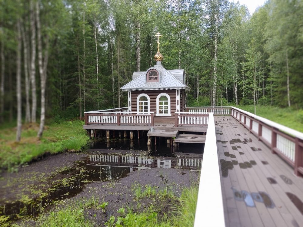 Фотография автора Денис Черных
