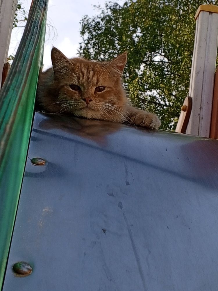 Photograph by Екатерина Одинцова