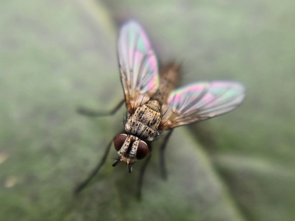 Photograph by Żółtowska Karolina