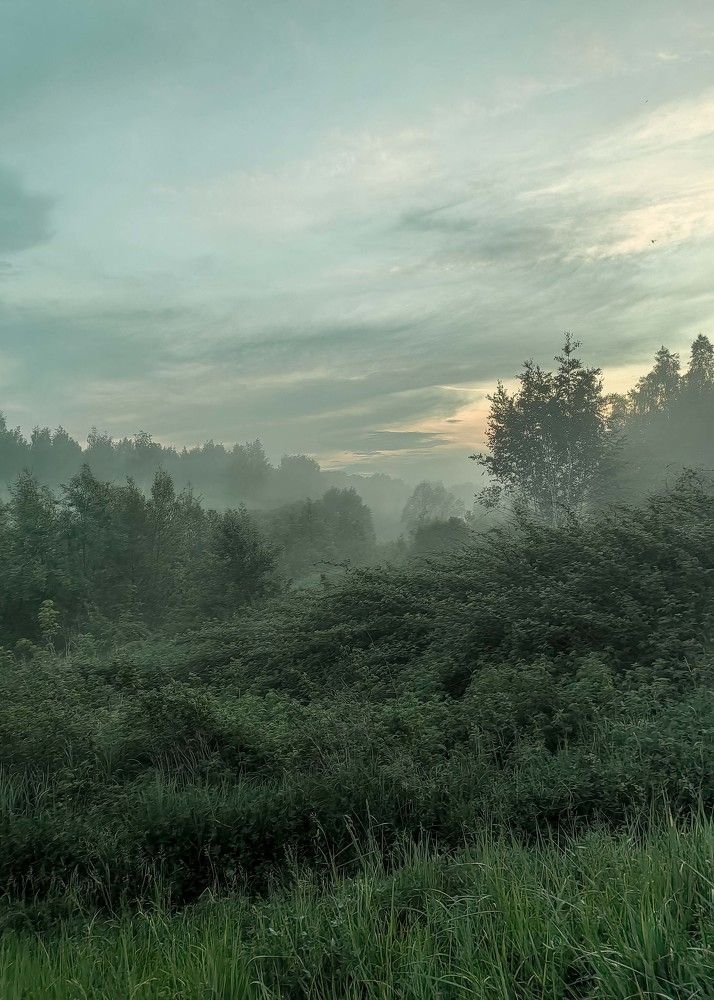 Photograph by Ольга Кривенцова