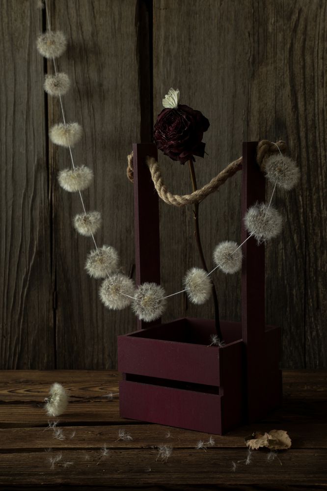 Цветочный ванитас