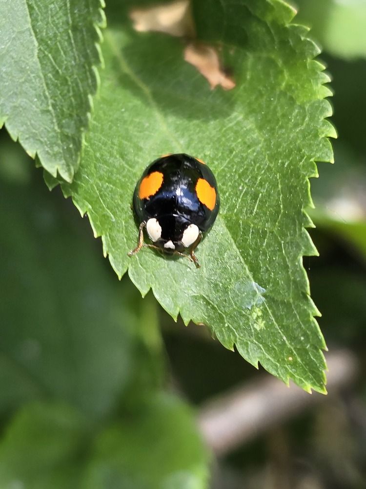 Photograph by Żółtowska Karolina