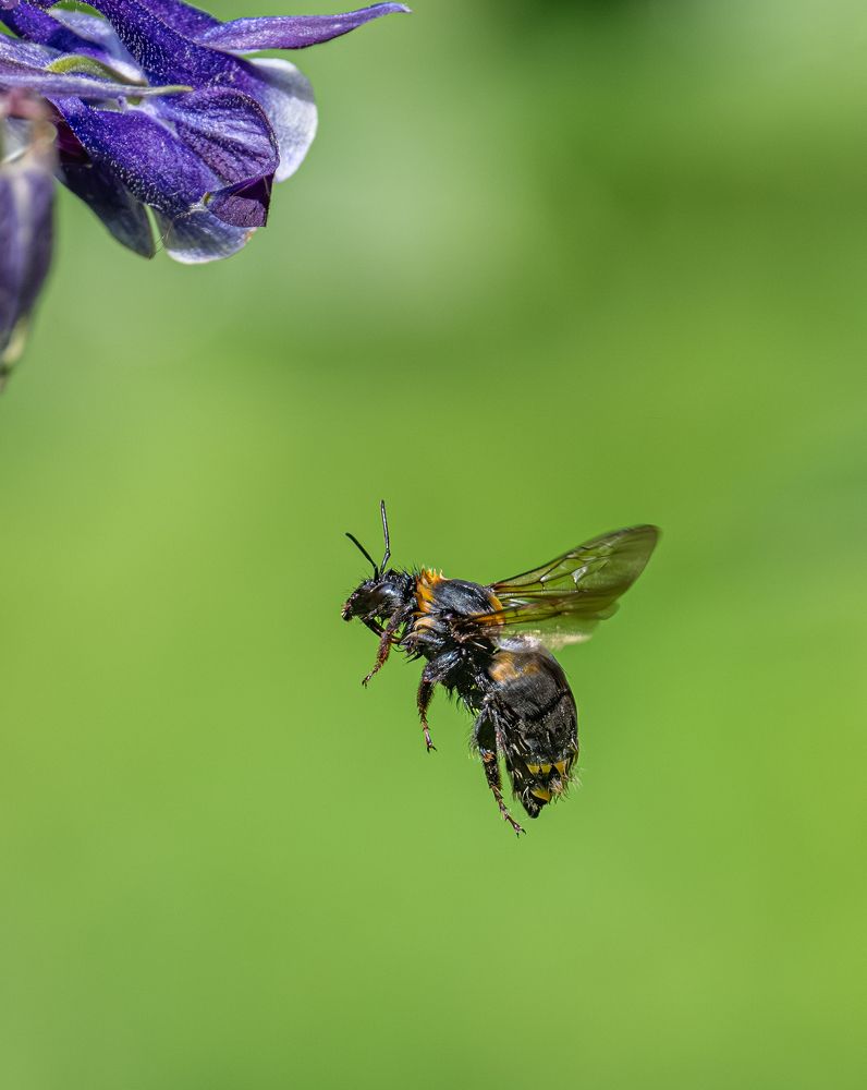Photograph by Курлянцев Алексей