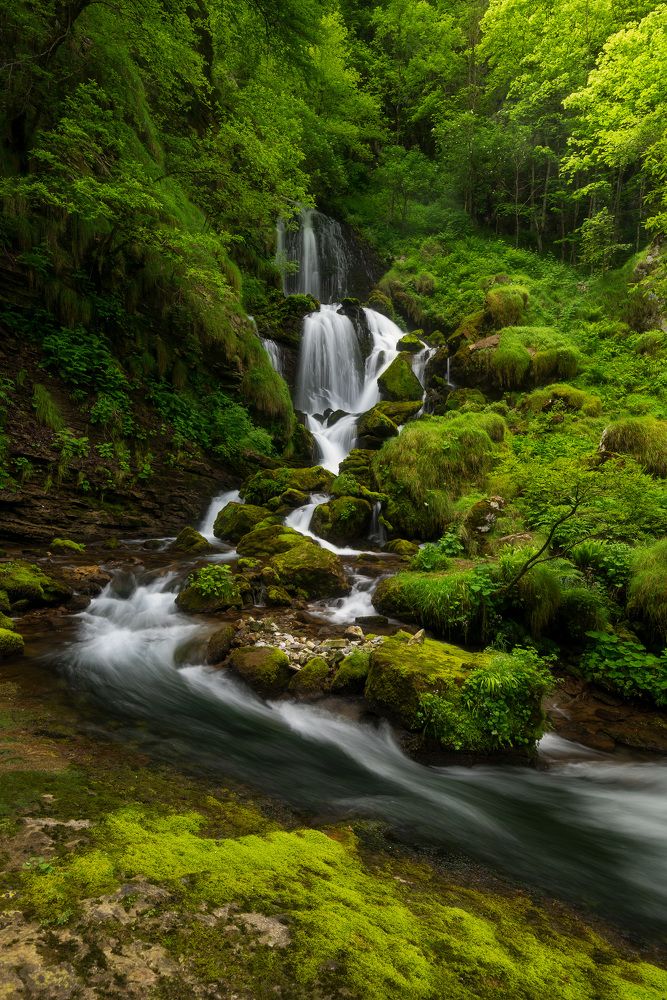 the beauty of nature