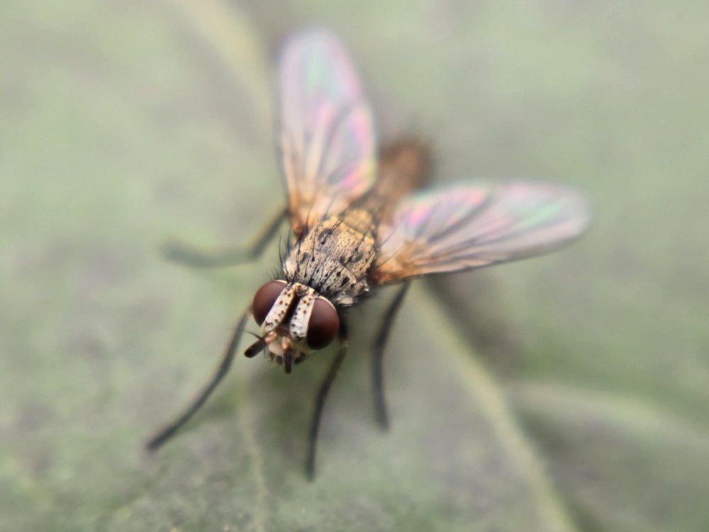 Photograph by Żółtowska Karolina