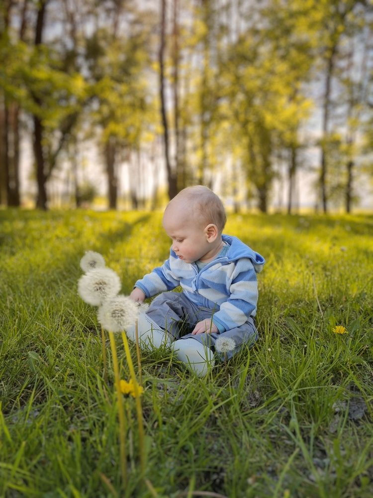 Photograph by RIDWANSYAH