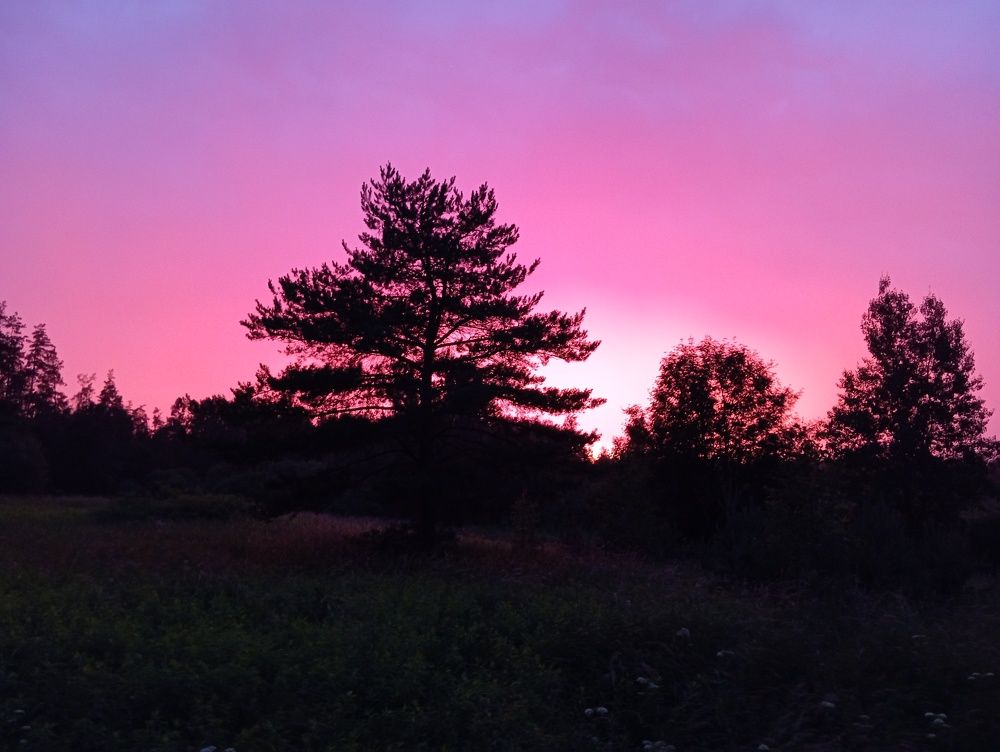 Photo #10714412