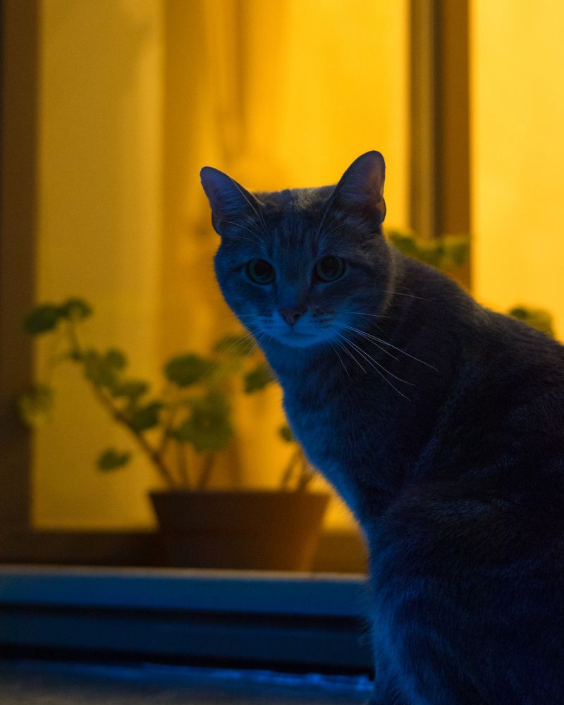 Photograph by Михаил