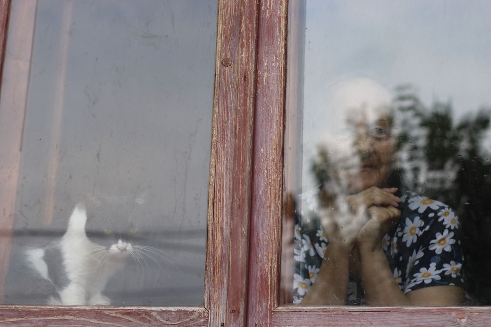 Photograph by Mereuta Eugenia
