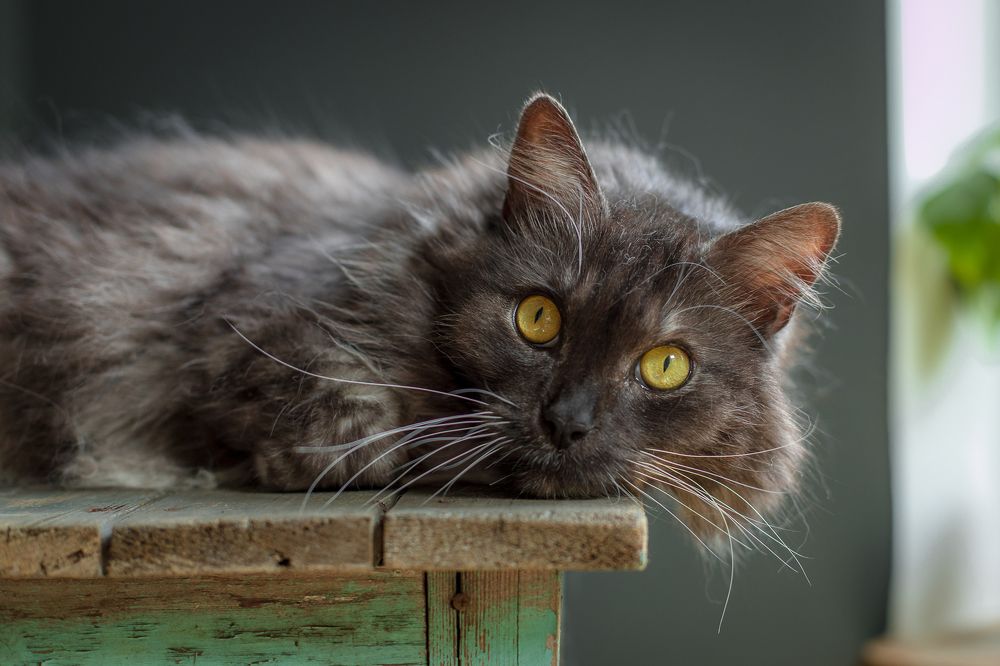 Photograph by Наталья Брюхненко