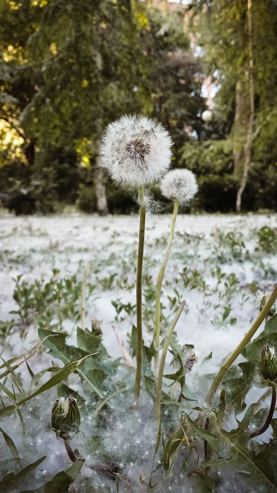 Фотография автора Дарина Фельдман
