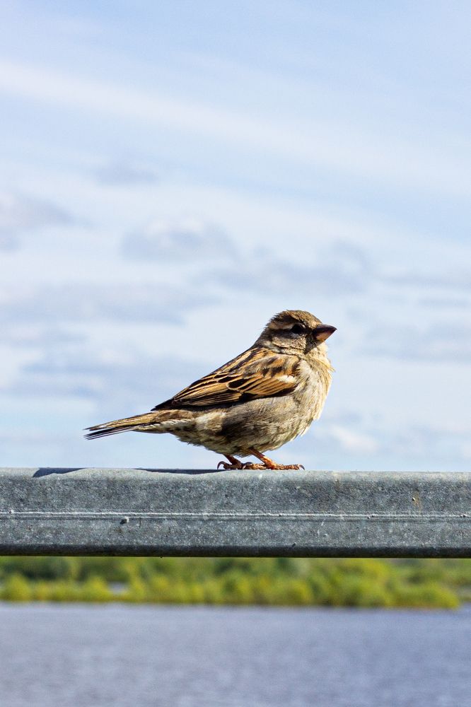 Photograph by Роман Якута
