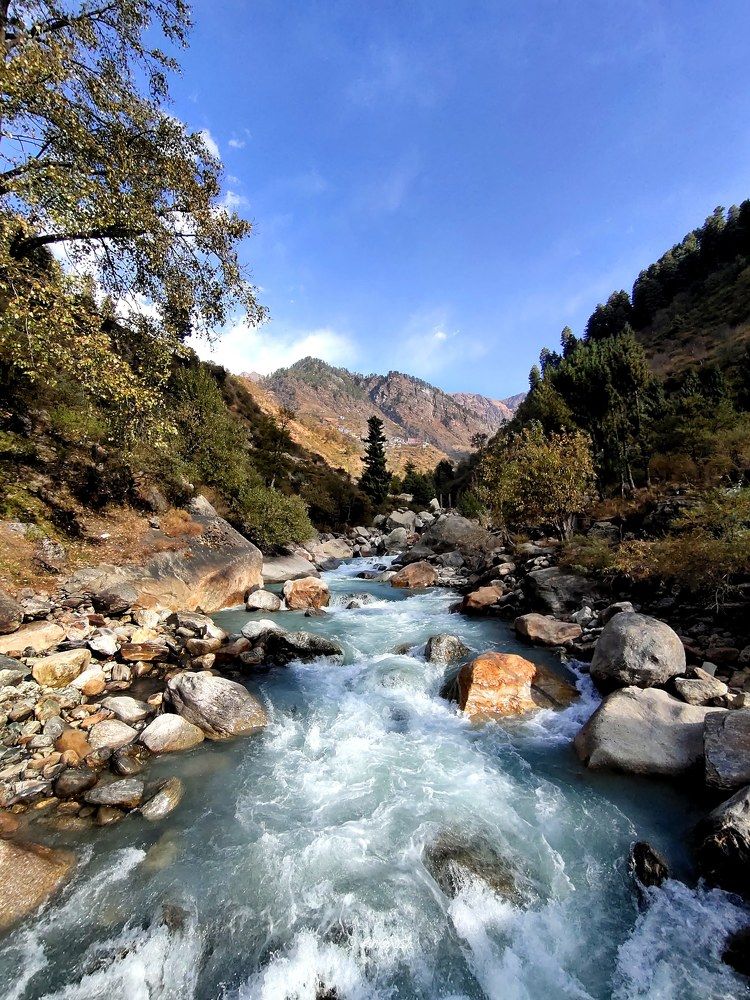 Photograph by RINI GHOSH