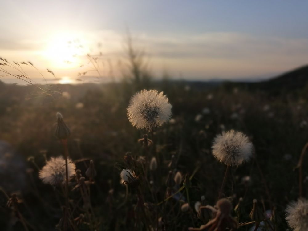 Photograph by Виктория Дремо