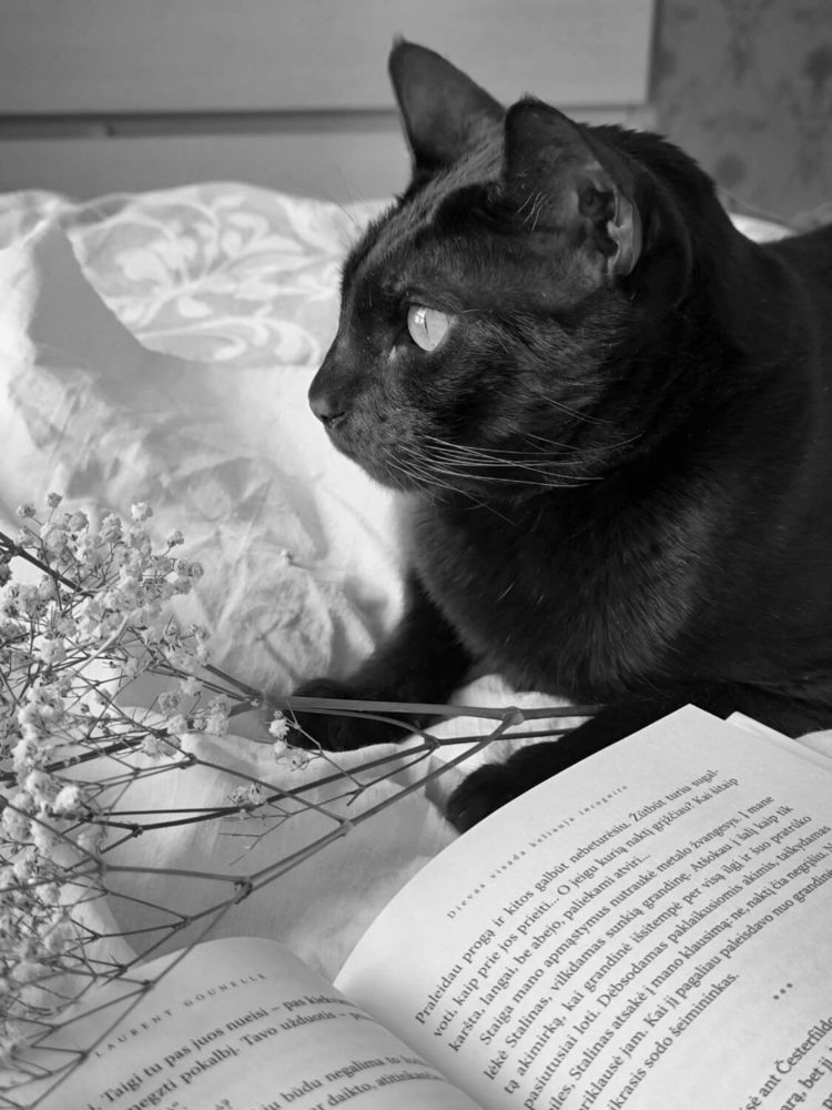 Photograph by Ksenija Bartoško