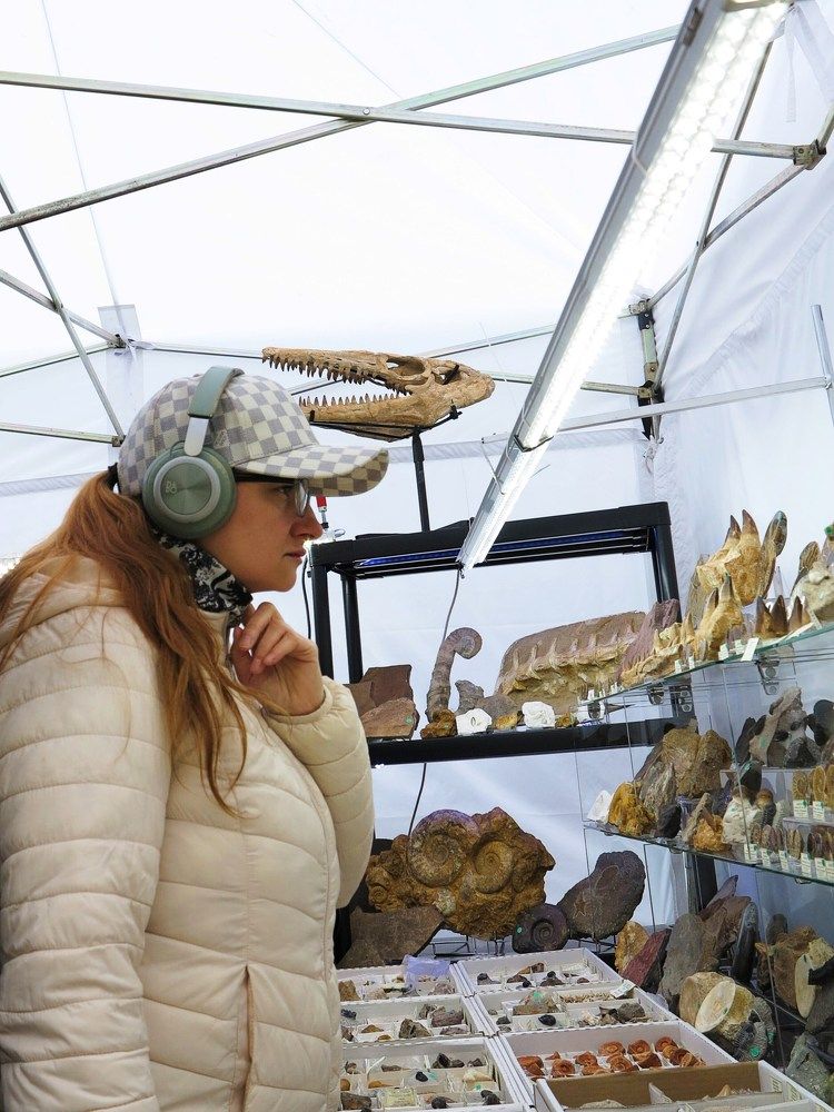 Вглядываясь в прошлое / Zaglądanie w przeszłość