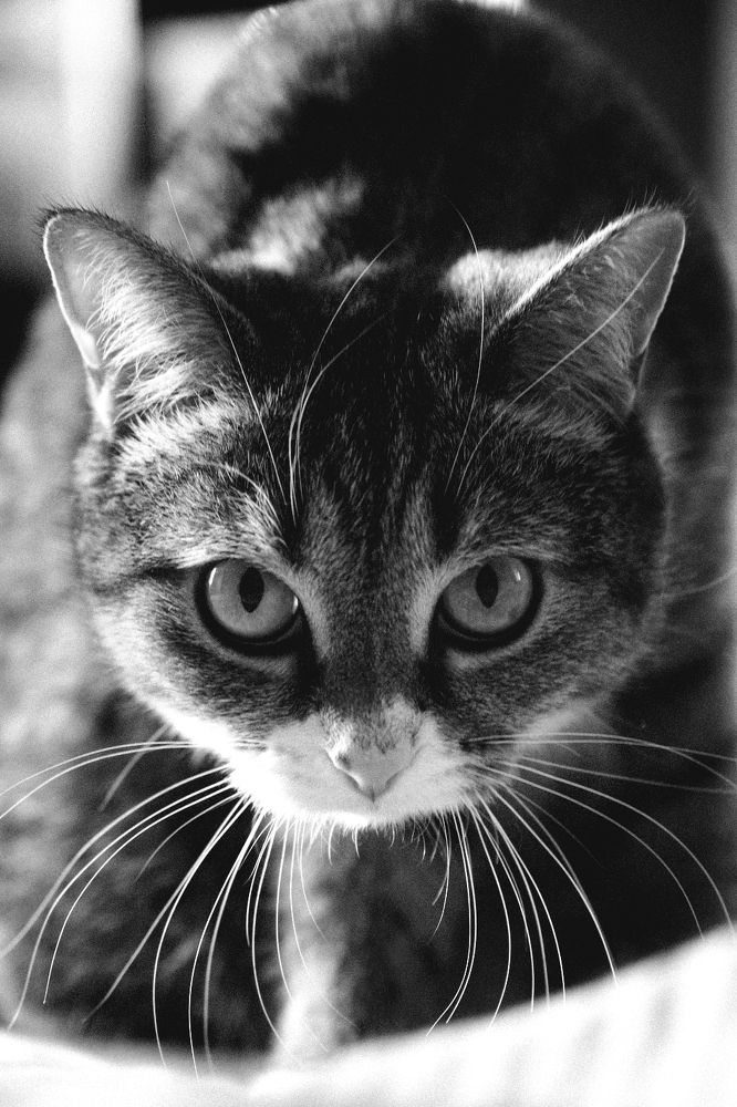 Photograph by Сергей Рыжиков