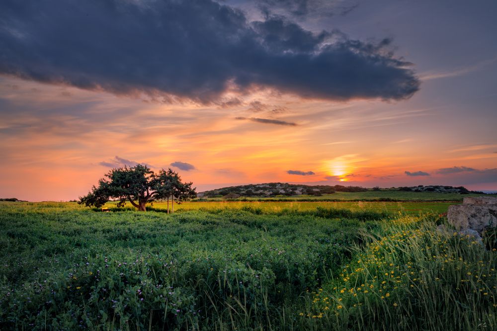 Photograph by Svetlana Tertyshnaya