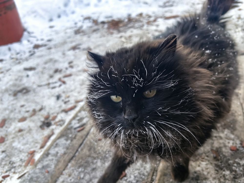 Photograph by Алексей Швайка