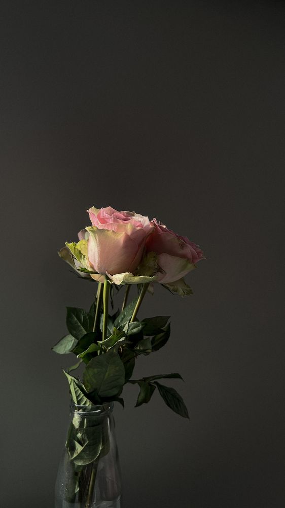 Photograph by Юстина Безух