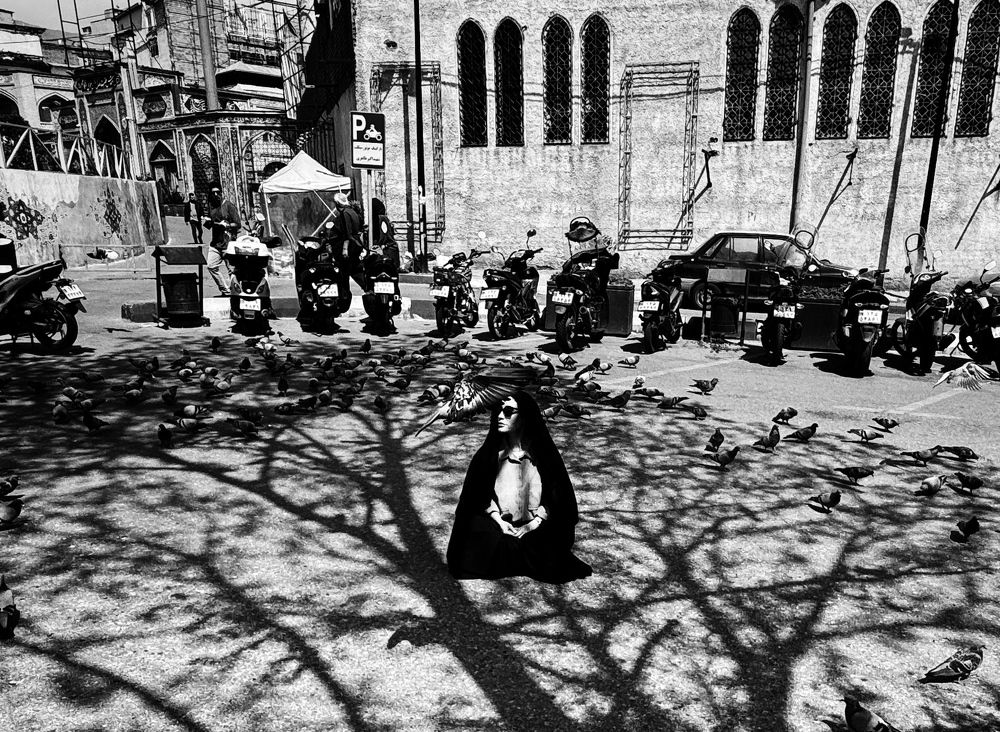 Photograph by Mehdi rouhbakhsh