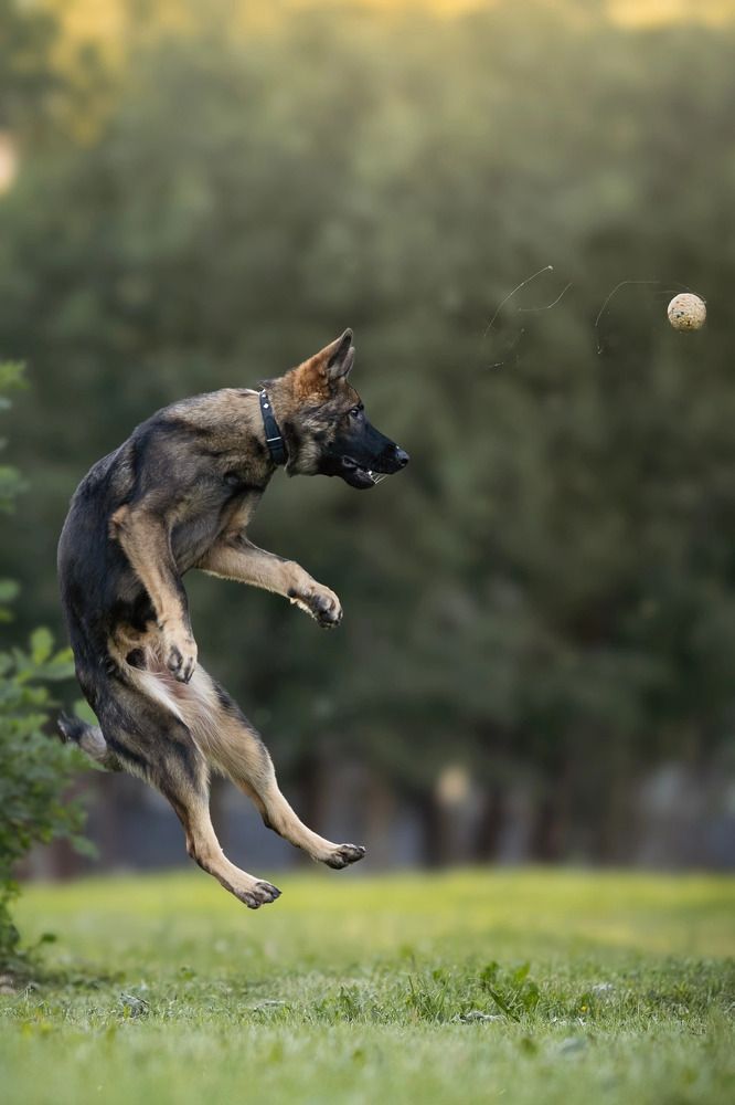 Photograph by Мария Романова