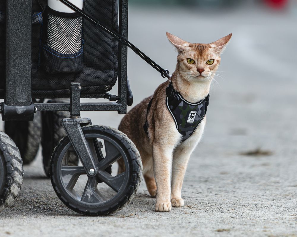 Photograph by Lathanuel Filliol