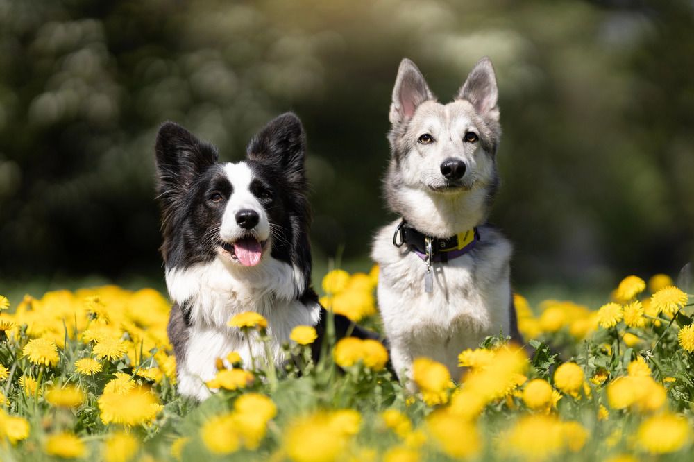 Photograph by Мария Романова