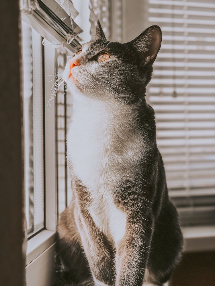 Photograph by Юлия