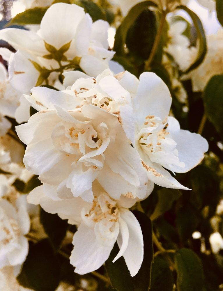 Photograph by Анна Новикова