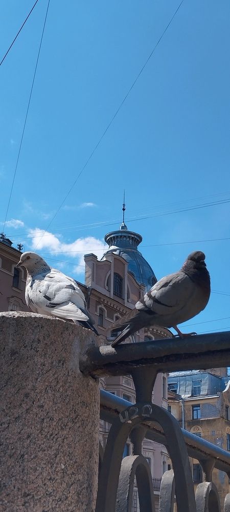 Photograph by Любовь Макарова