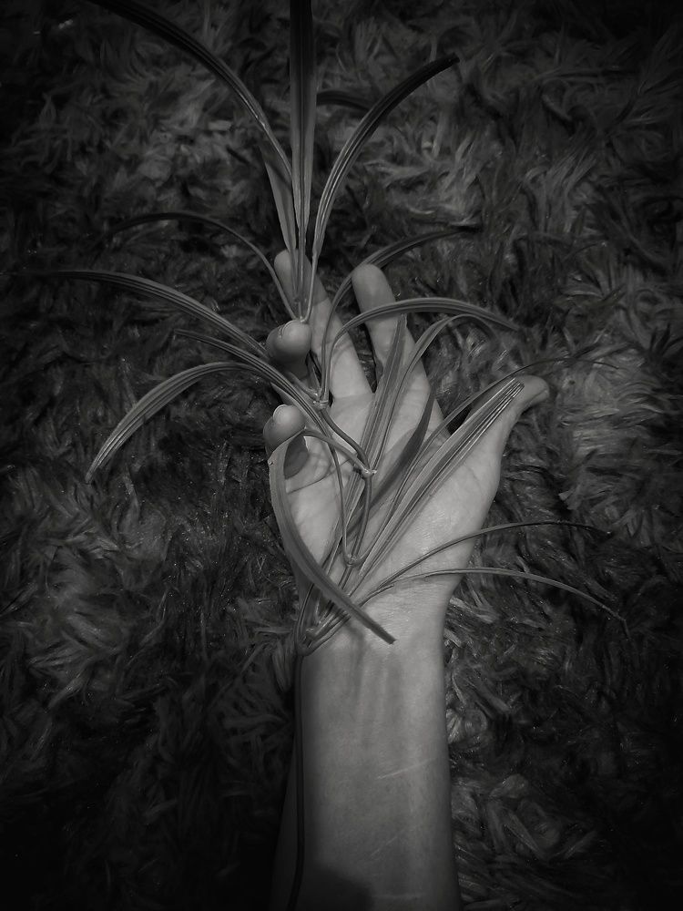 Photograph by Станислава